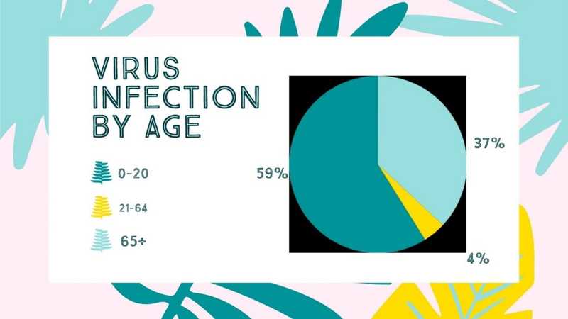 Pie Chart
